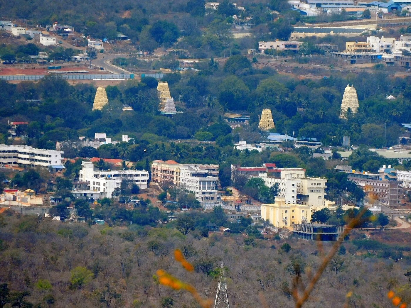 Sri Mallikarjuna Swamy Temple, Srisailam, Srisailam, Andhra Pradesh - photograph 2
