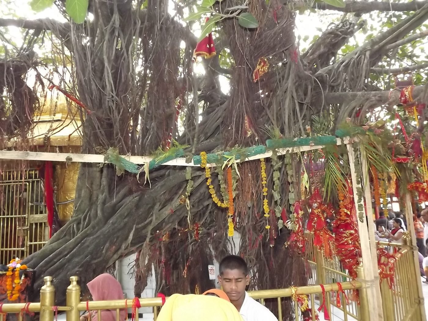 Chintpurni Temple, Una (Chintpurni), Himachal Pradesh - photograph 5