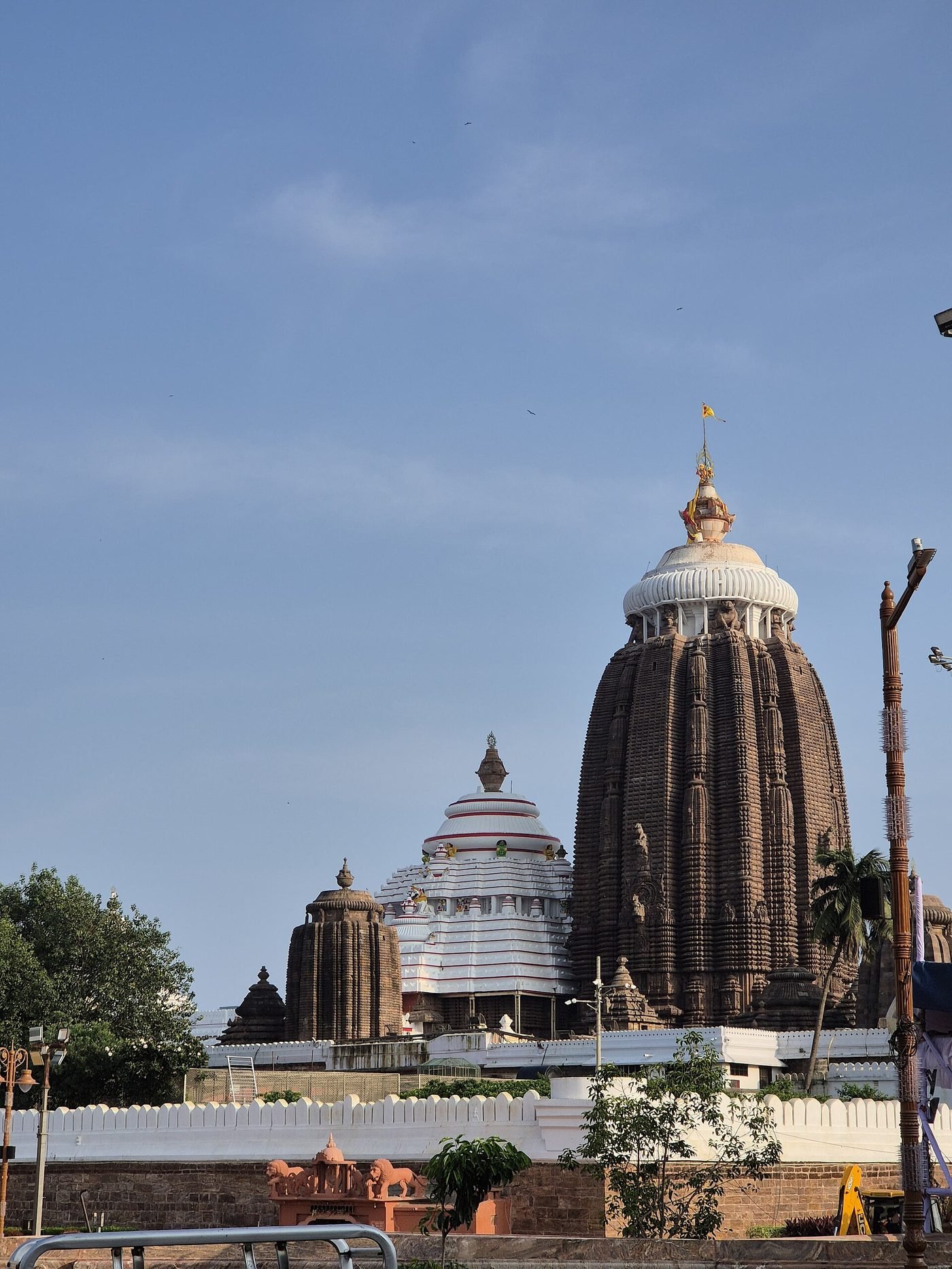 Shree Jagannath Temple, Puri, Odisha - photograph 2