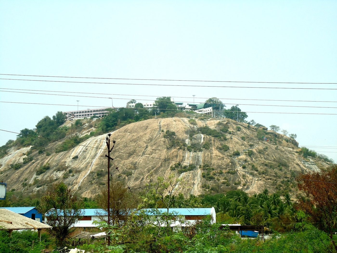 Arulmigu Dhandayuthapani Swamy Temple, Palani, Tamil Nadu - photograph 4