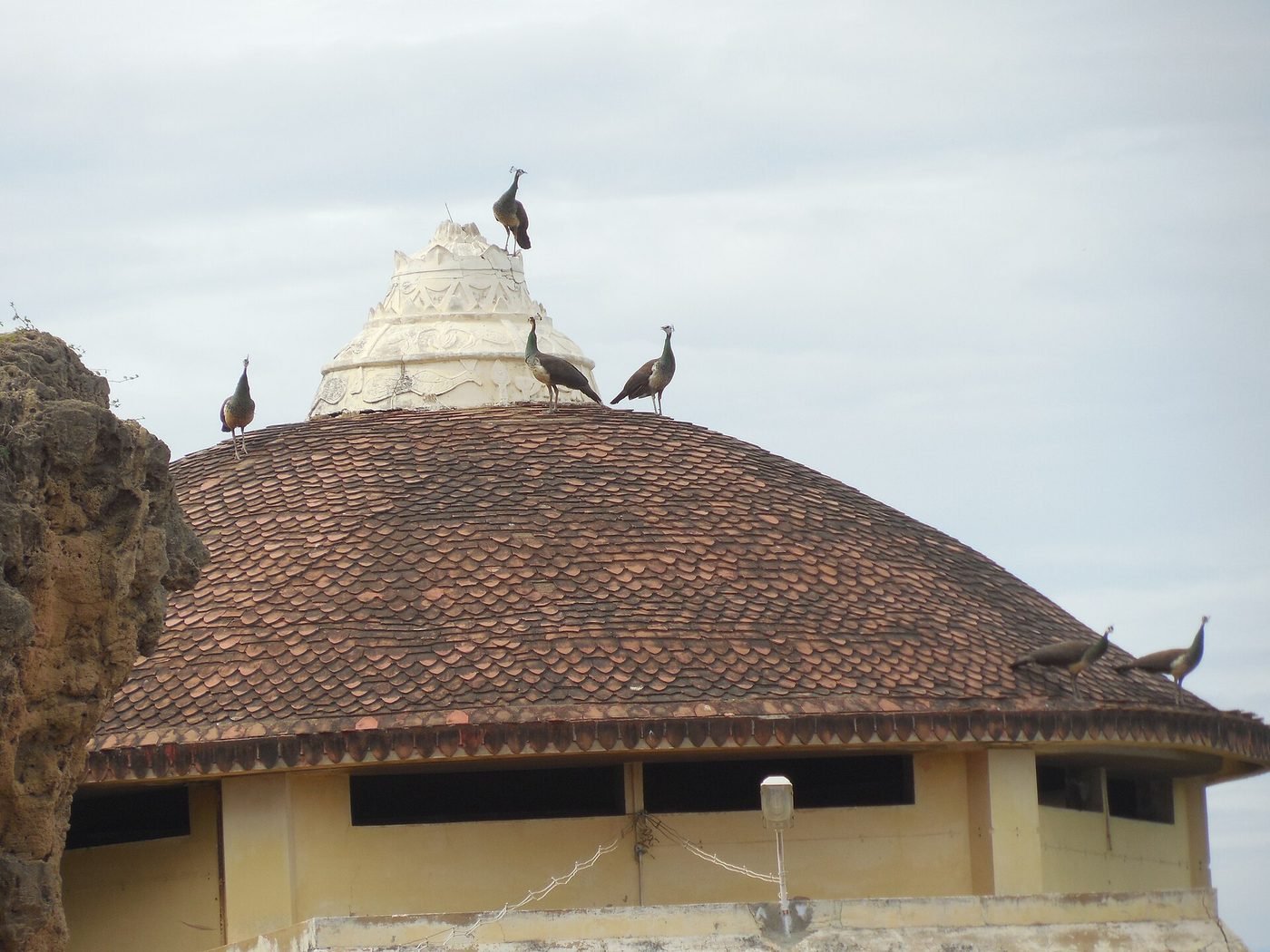 Arulmigu Subramaniya Swamy Temple, Tiruchendur, Tiruchendur, Tamil Nadu - photograph 3